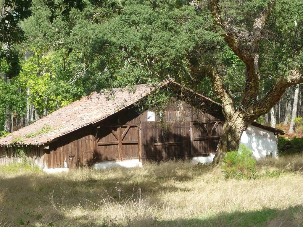 Appartements A Cote Lac Marin De Port D'Albret ヴュー・ブコー・レ・バン エクステリア 写真