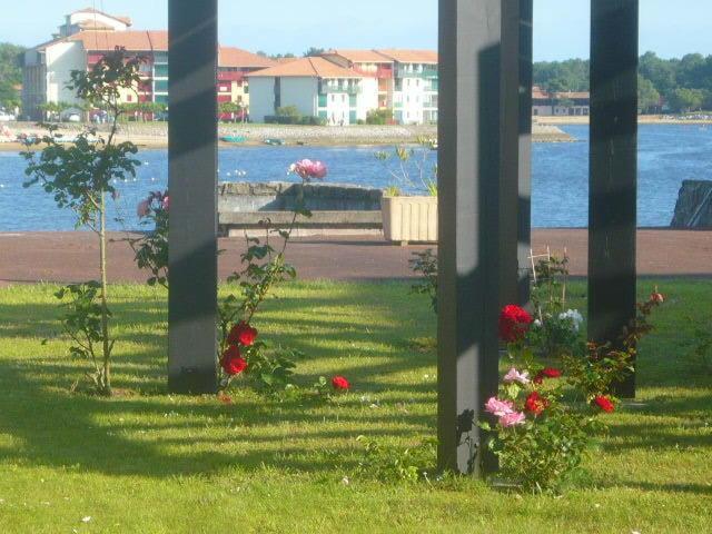 Appartements A Cote Lac Marin De Port D'Albret ヴュー・ブコー・レ・バン 部屋 写真